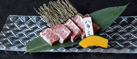 赤身の多いお肉イメージ